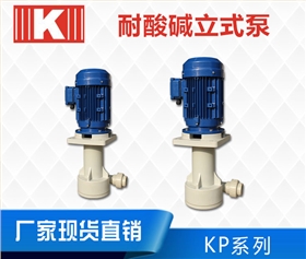 KP槽內立式泵 KP槽內立式泵