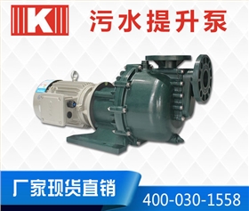 塑料污水提升泵 塑料污水提升泵