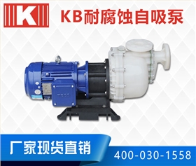KB耐腐蝕自吸泵 KB耐腐蝕自吸泵